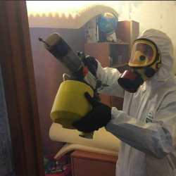 Уничтожение клопов в квартире. Онега